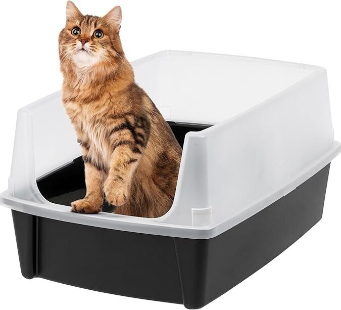 IRIS USA XX-Large Cat Litter Box, Open Top Extra Large Litter Box for Big Cats and Multi-Cat Households